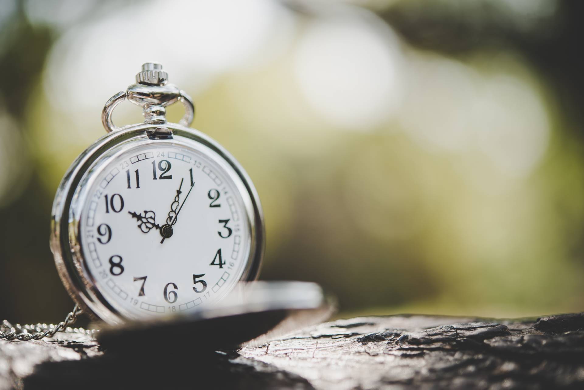 close up of pocket watch on tree branch outside 2025 01 16 13 53 51 utc (1)